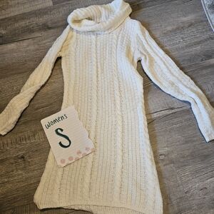 Turtle neck sweater dress